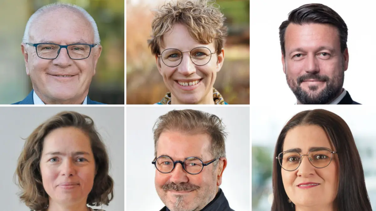 Stadtrat Neu-Ulm: Understanding the Current Term & Data Gaps